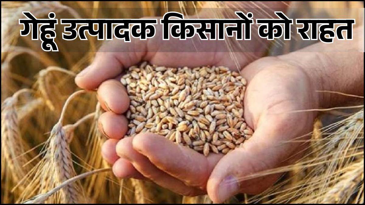 MP के किसानों को बड़ी राहत, अब 30 अप्रैल तक करा सकेंगे गेहूं की स्लॉट बुकिंग, सरकार ने 6 दिन बढ़ाई अवधि