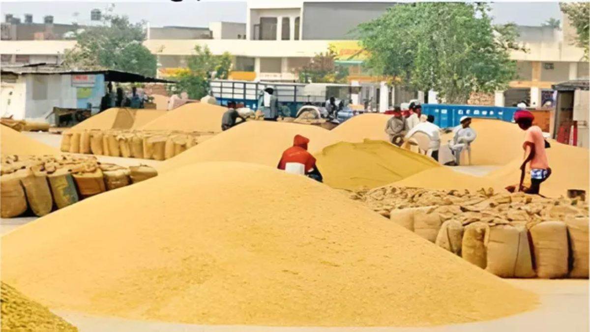 उत्तर प्रदेश के इन किसानों को बड़ी राहत, अब बिना रजिस्ट्री भी बेच सकेंगे गेहूं