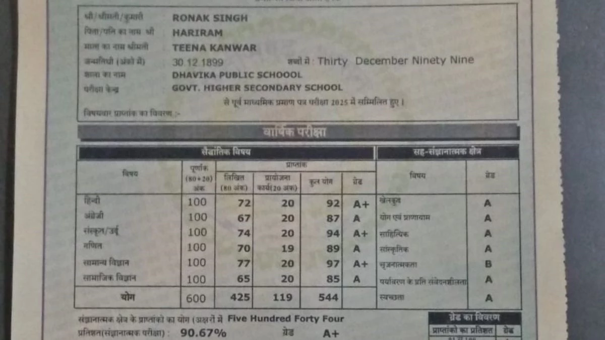 छत्तीसगढ़ के रौनक ने आठवीं पास करने में लगाए 126 साल! मार्कशीट देख चकरा जाएंगे आप