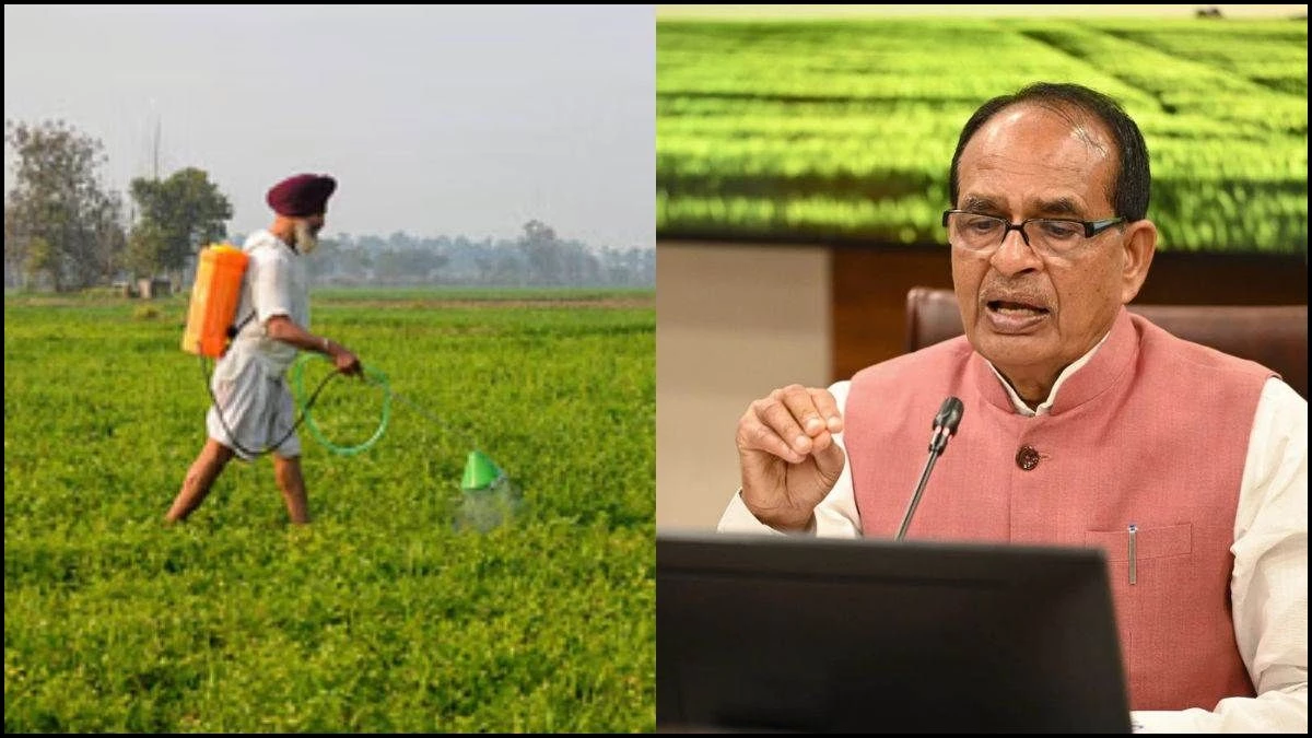 MP में बर्बाद फसल देख भड़के शिवराज सिंह, किसानों को दिया आश्वासन, कहा- दोषियों पर होगी सख्त कार्रवाई