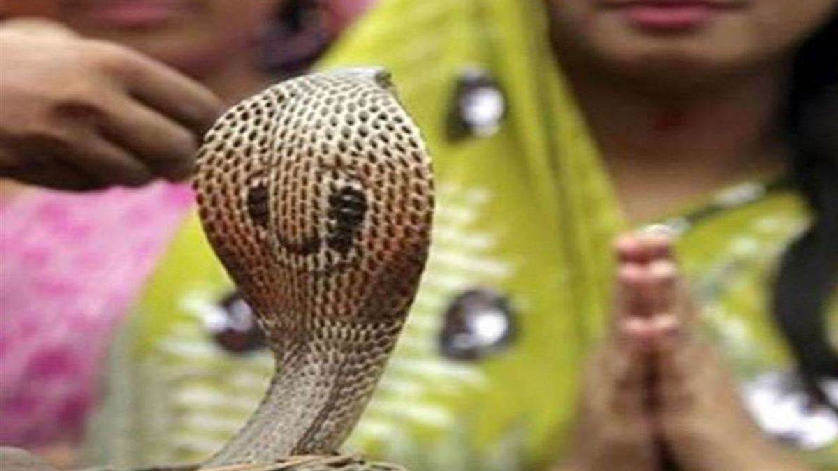 नागपंचमी और सावन सोमवार का दुर्लभ महासंयोग: ग्वालियर के नाग मंदिरों में उमड़ेगा आस्था का सैलाब, जानिए शुभ मुहूर्त और पूजा विधि
