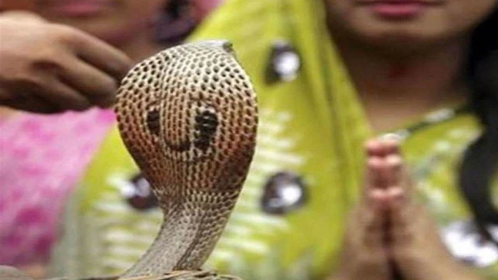 नागपंचमी और सावन सोमवार का दुर्लभ महासंयोग: ग्वालियर के नाग मंदिरों में उमड़ेगा आस्था का सैलाब, जानिए शुभ मुहूर्त और पूजा विधि