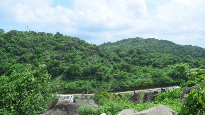 जबलपुर की मदन महल पहाड़ी पर आकार लेने लगा रानी दुर्गावती स्मारक, 24 एकड़ क्षेत्र में पर्यटन का नया केंद्र