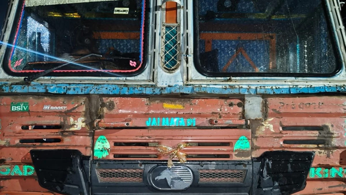 छत्‍तीसगढ़ के दुर्ग में तेज रफ्तार कंटेनर से कुचलकर आठ गायों की मौत, ड्राइवर भागा लेकिन पकड़ा गया
