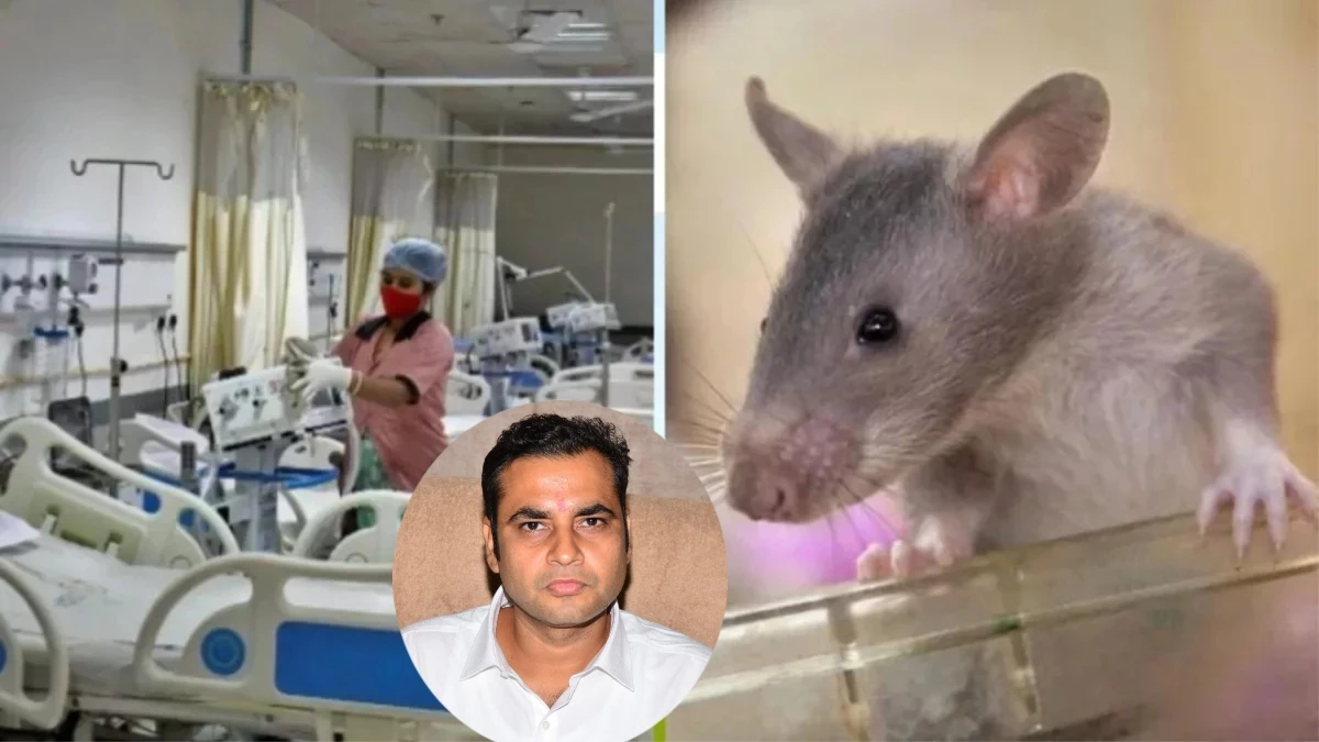 चूहा कांड के बाद Jabalpur मेडिकल में कलेक्टर का औचक निरीक्षण, बोले- लापरवाही बर्दाश्त नहीं, दोबारा घटना हुई तो होगी सख्त कार्रवाई