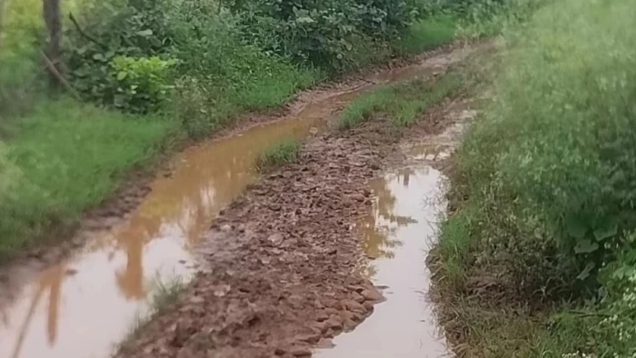 आजादी के सालों बाद भी कच्चे रास्ते का दंश झेल रहे एमपी के दो गांव, जल्द सड़क बनने का मिला आश्वासन