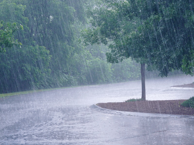 Haryana Weather Alert