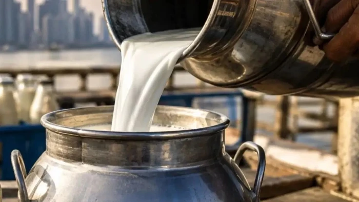 जबलपुर में एक महीने में दस रुपये महंगा हो गया दूध, कीमत 80 रुपये प्रति लीटर पर पहुंची