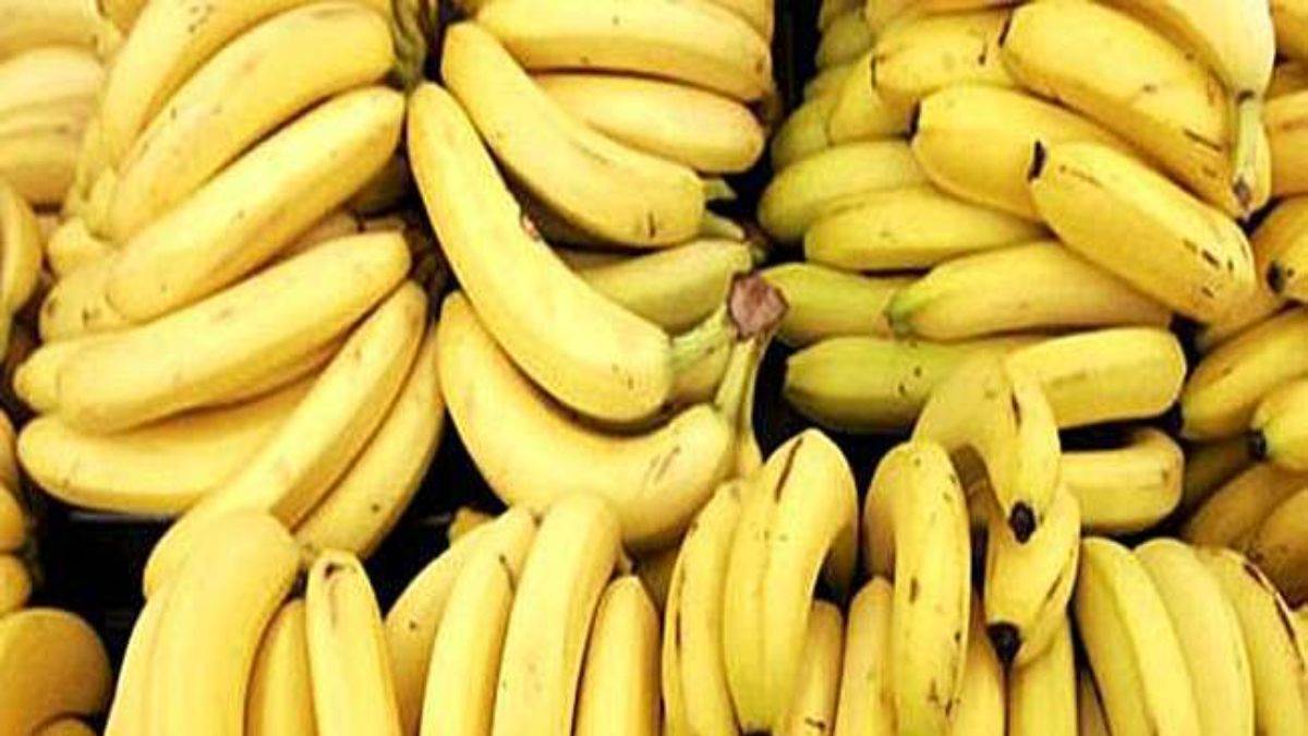 Astro केले का ज्योतिष शास्त्र से है खास कनेक्शन, जानिए इसका पूजा में