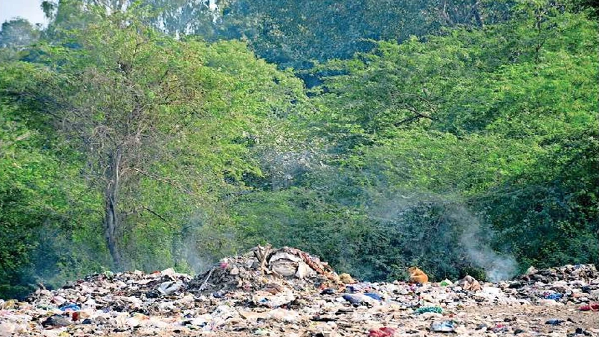 Gwalior pollution: इंडस्ट्री है नहीं, वाहन भी कम, फिर भी डीडी नगर की हवा सबसे खराब