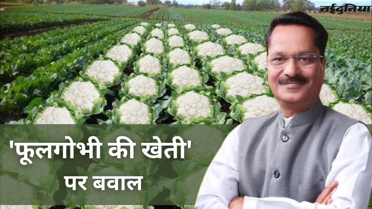 आखिर क्यों असम के मंत्री के 'गोभी की खेती' वाले पोस्ट पर मचा बवाल, जानिए बिहार से क्या है कनेक्शन