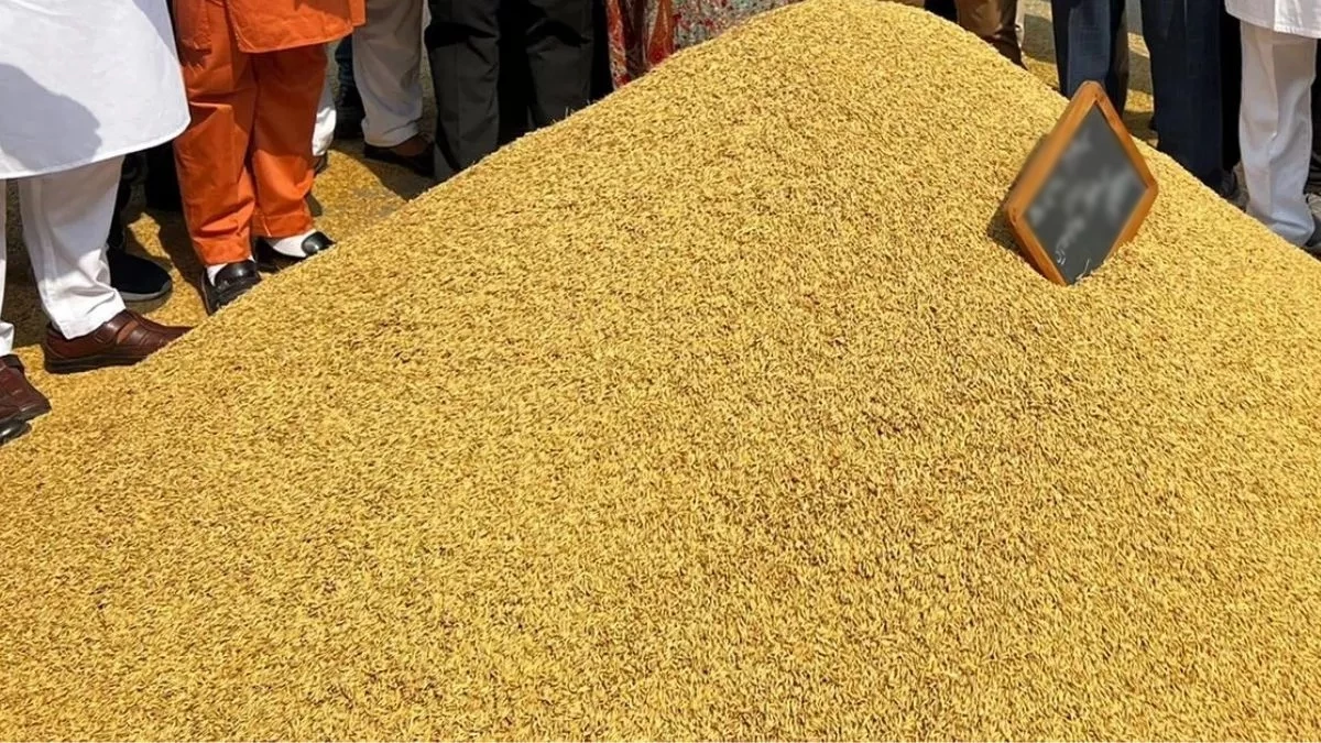 धान, गेहूं समेत मोटे अनाज के उपार्जन में फर्जीवाड़ा करने वाली सोसाइटियां होंगी ब्लैक लिस्ट