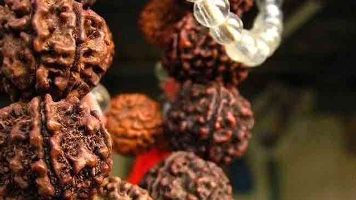 485 Culture Rudraksha Stock Photos - Free & Royalty-Free Stock Photos from  Dreamstime