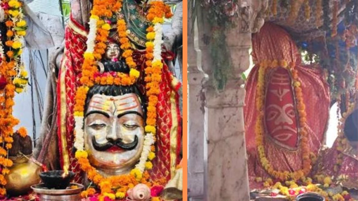 Shiv Chaturdashi: शिव चतुर्दशी गुरुवार को, श्रद्धालु उज्जैन के सिद्धवट का करेंगे दुग्धाभिषेक