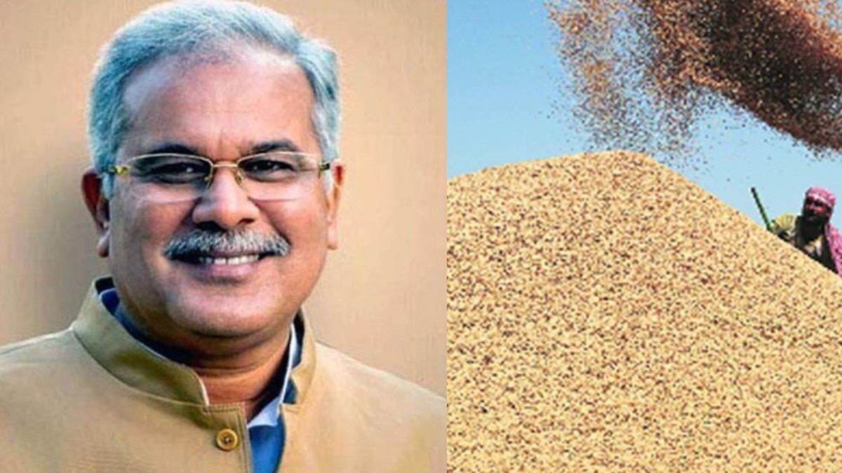 100 लाख टन धान खरीदी पर मुख्यमंत्री का ट्वीट, भाजपा पर बोले सीएम- घोटाले में तोड़े कई रिकार्ड