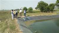 Shajapur News : उद्यानिकी फसल उत्पादन कर हर साल आठ लाख कमा रहा किसान