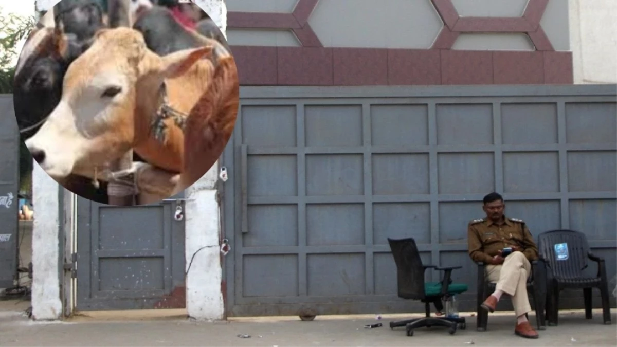 जहांगीराबाद गौकशी कांड: थाना पुलिस की जांच में नहीं मिले ठोस सबूत, अब SIT करेगी 'खूनी खेल' का पर्दाफाश