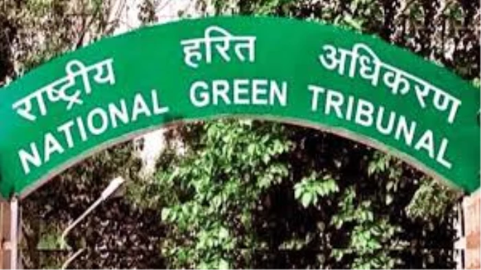 नर्मदापुरम वन मंडल में 1242 पेड़ों की अवैध कटाई को लेकर NGT सख्त, स्वतः संज्ञान लेकर दिए कार्रवाई के निर्देश