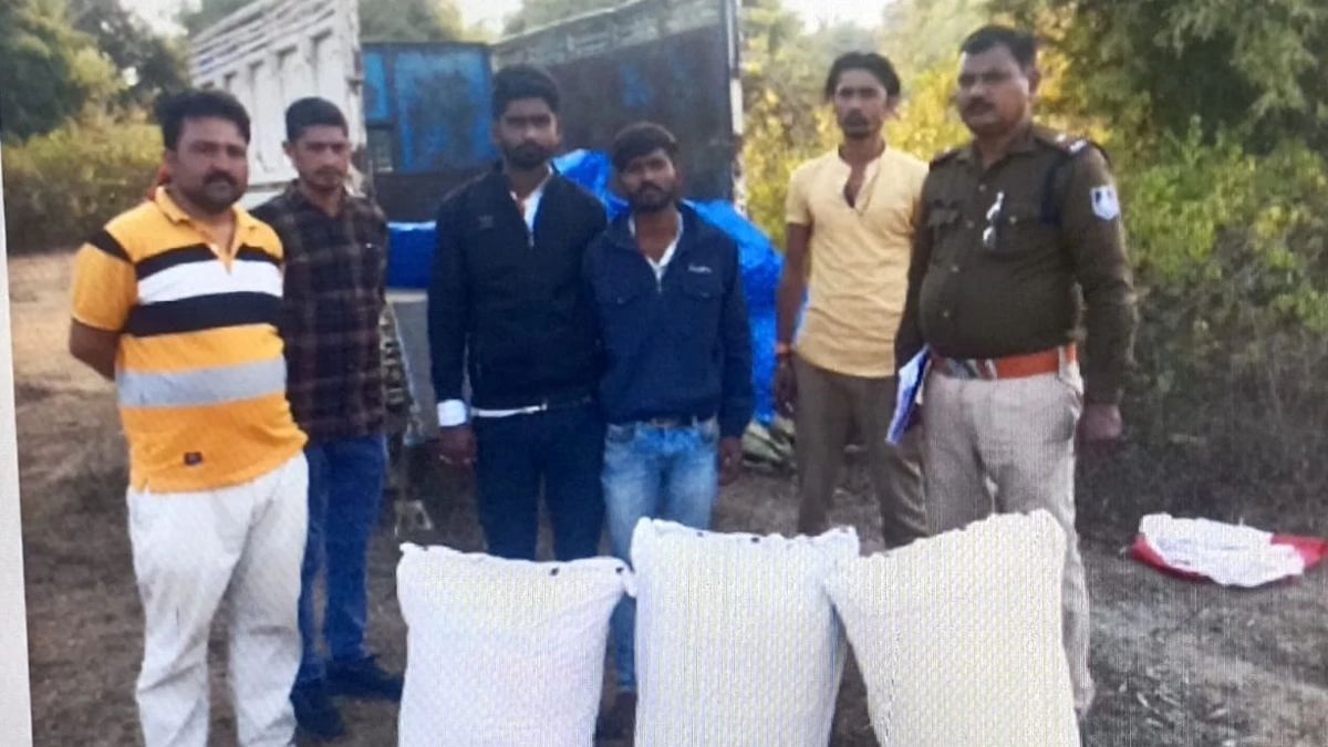 कटनी में पुलिस की बड़ी कार्रवाई, जंगल में घेराबंदी कर पकड़ा 133 किलो गांजा, 3 वाहन जब्त