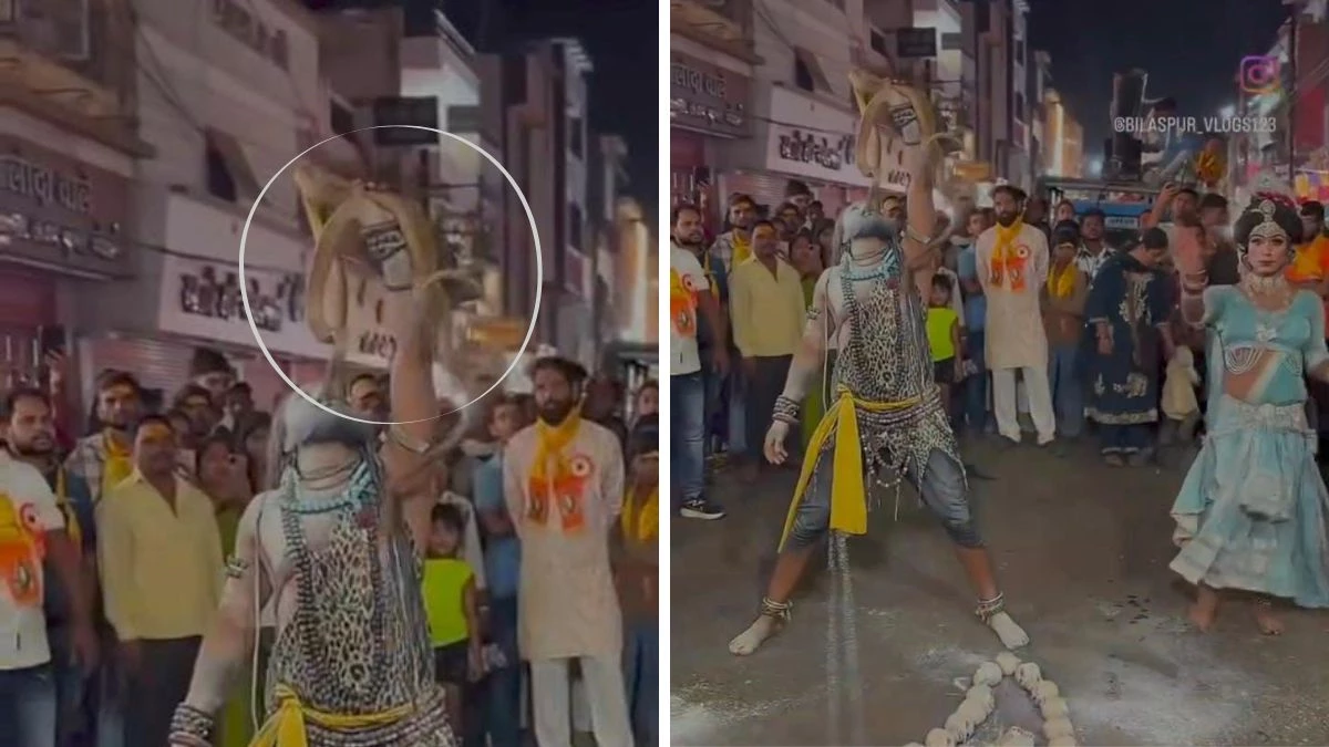 CG में शिव बरात में जिंदा सांप के साथ प्रदर्शन का वीडियो वायरल, वन विभाग की जांच शुरू