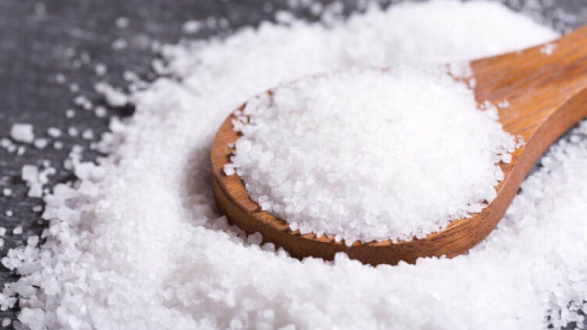 Vastu Tips of Salt: एक चुटकी नमक के ये उपाय चमका देगा भाग्य, दूर होगी घर से नेगेटिव एनर्जी