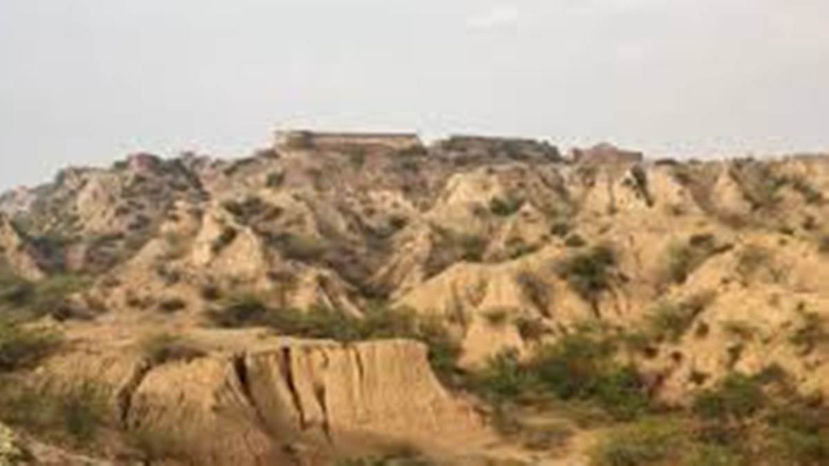 Chambal Ravine Project: कछुआ चाल चल रहा बीहड़ों में उन्नत बीजों की खेती ...