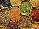 Indore Market News: Stocks of pulses and pulses to be announced, weekly monitoring of prices of 21 items also