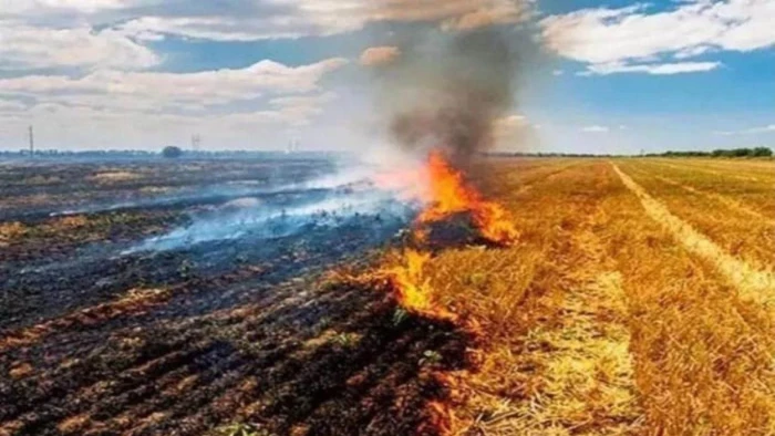 नरवाई जलाने में ग्वालियर-चंबल अंचल में गुना और मध्य प्रदेश में विदिशा सबसे आगे
