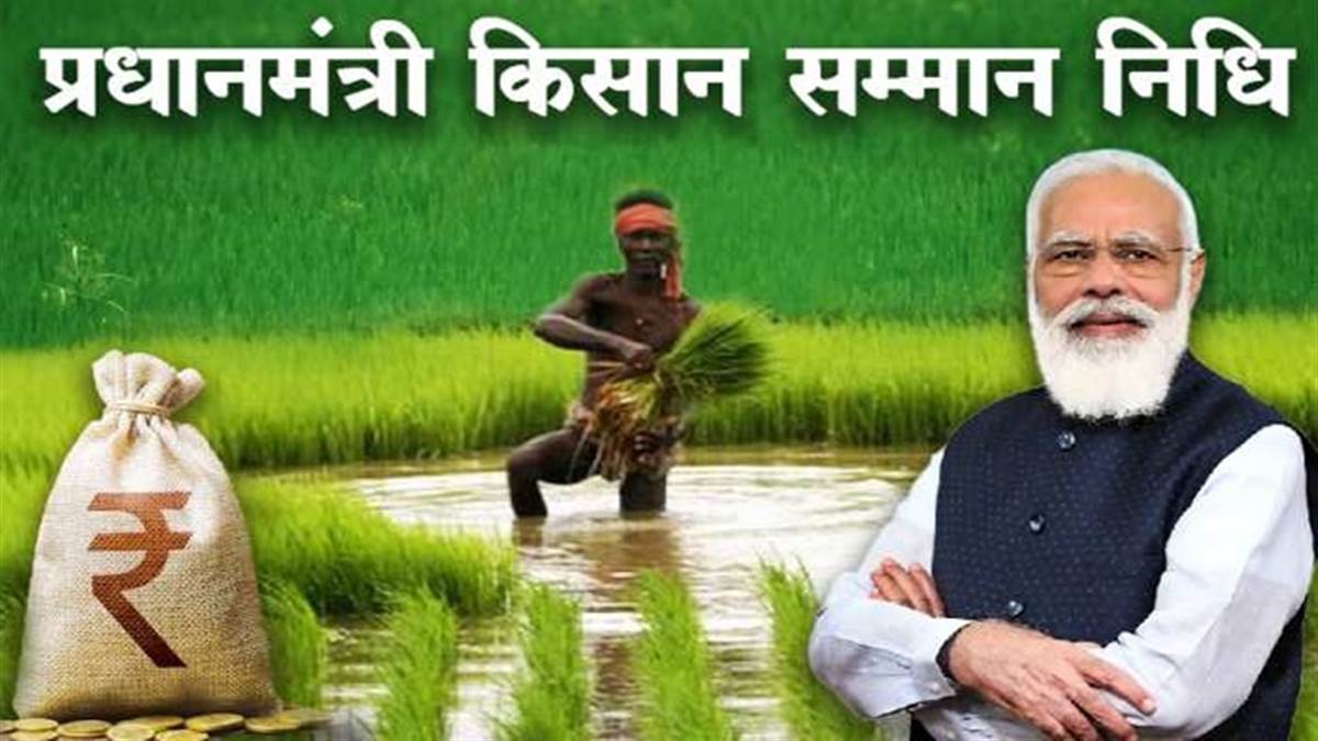 PM Kisan Yojana: पीएम मोदी जारी करेंगे किसान सम्मान निधि की 17वीं किस्त,  ऐसे चेक करें खाते में राशि जमा हुई या नहीं - PM Modi will release the 17th  installment of