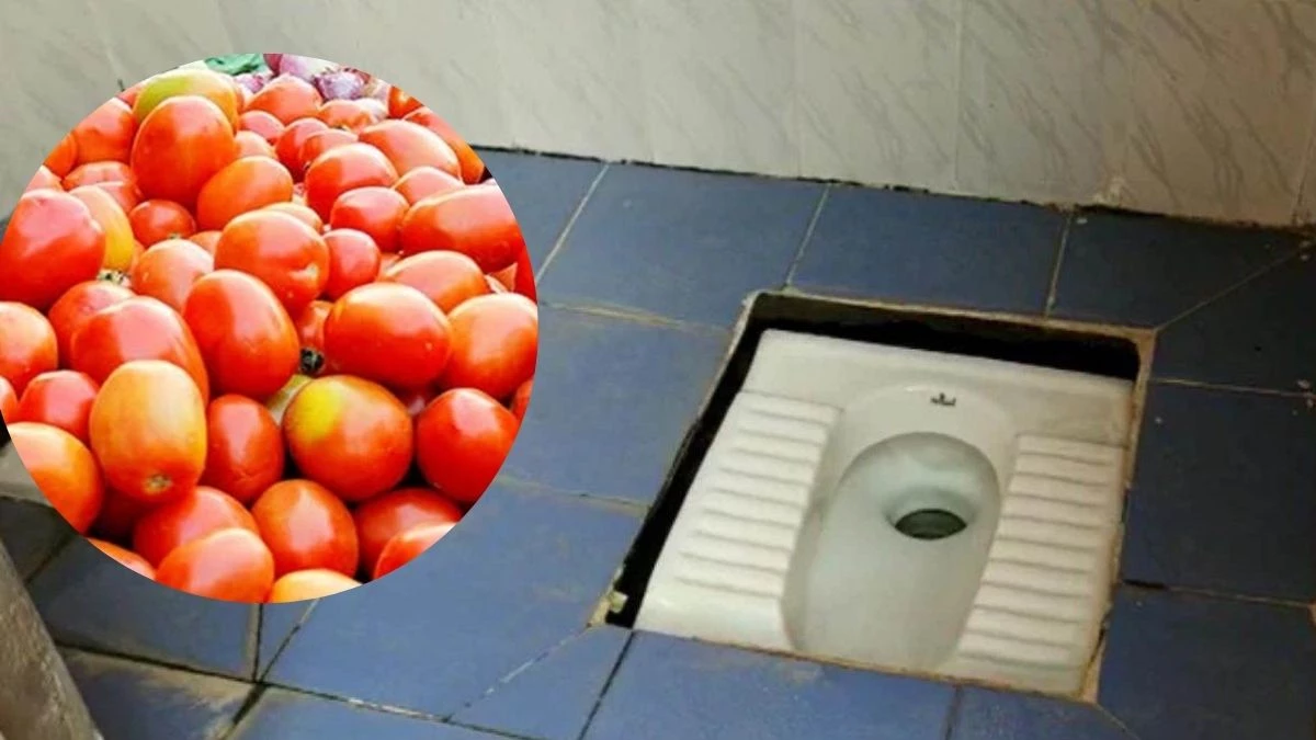 Indore News: मंडी के शौचालय में रखे हुए थे टमाटर, 12 हजार रुपये का लगा स्पॉट फाइन