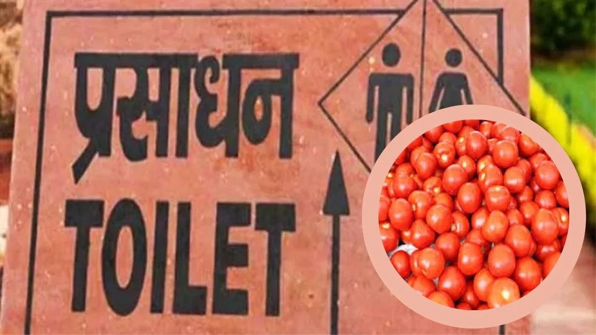 अतिक्रमण पर आक्रमण : शौचालय में रखे हुए थे टमाटर, 12 हजार का स्पॉट फाइन