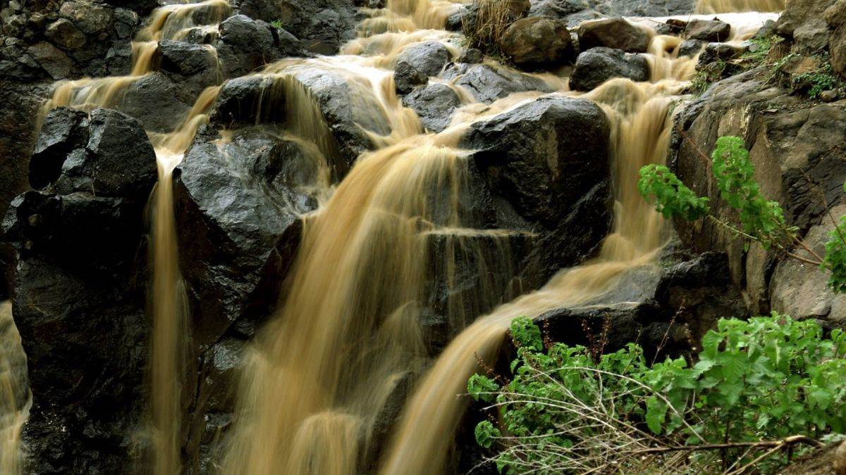World Picnic Day 2026 : जबलपुर के आसपास बसे प्राकृतिक ठिकाने, जहां मिलती है सुकून और रोमांच की सौगात
