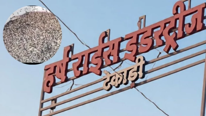बालाघाट में पूर्व मंत्री के भाई की फैक्ट्री, जहां पड़े ‘छापे’, अब ‘हेराफेरी’ का दाग