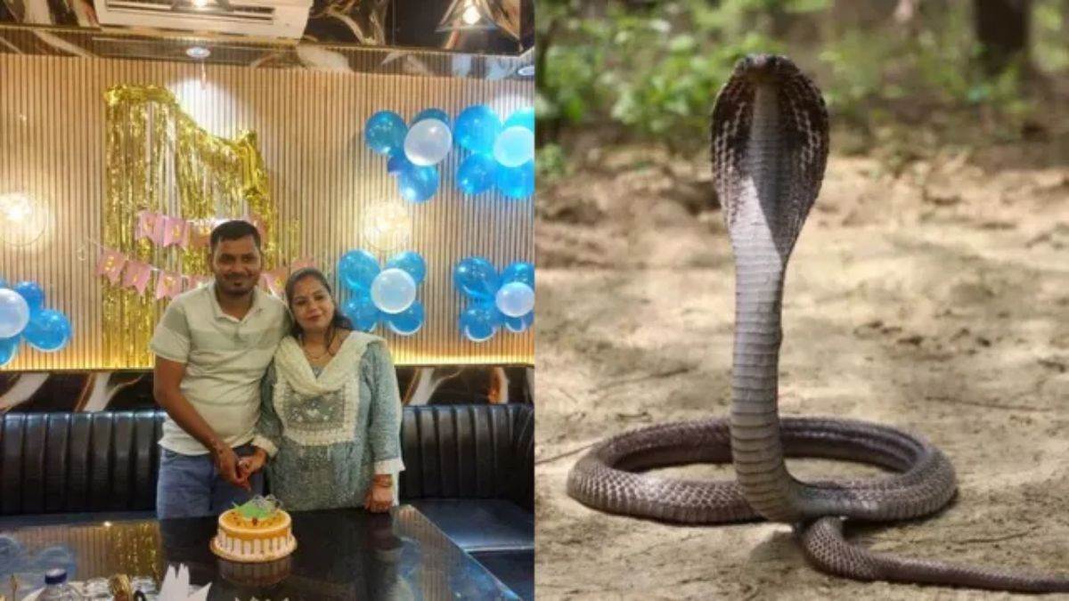 मेरठ के हस्तिनापुर में खौफनाक मर्डर: पत्नी ने आशिक के संग मिलकर सो रहे पति के बिस्तर पर छोड़ा सांप, तड़प-तड़प कर हुई मौत