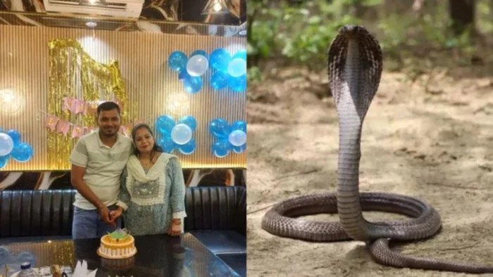 मेरठ के हस्तिनापुर में खौफनाक मर्डर: पत्नी ने आशिक के संग मिलकर सो रहे पति के बिस्तर पर छोड़ा सांप, तड़प-तड़प कर हुई मौत