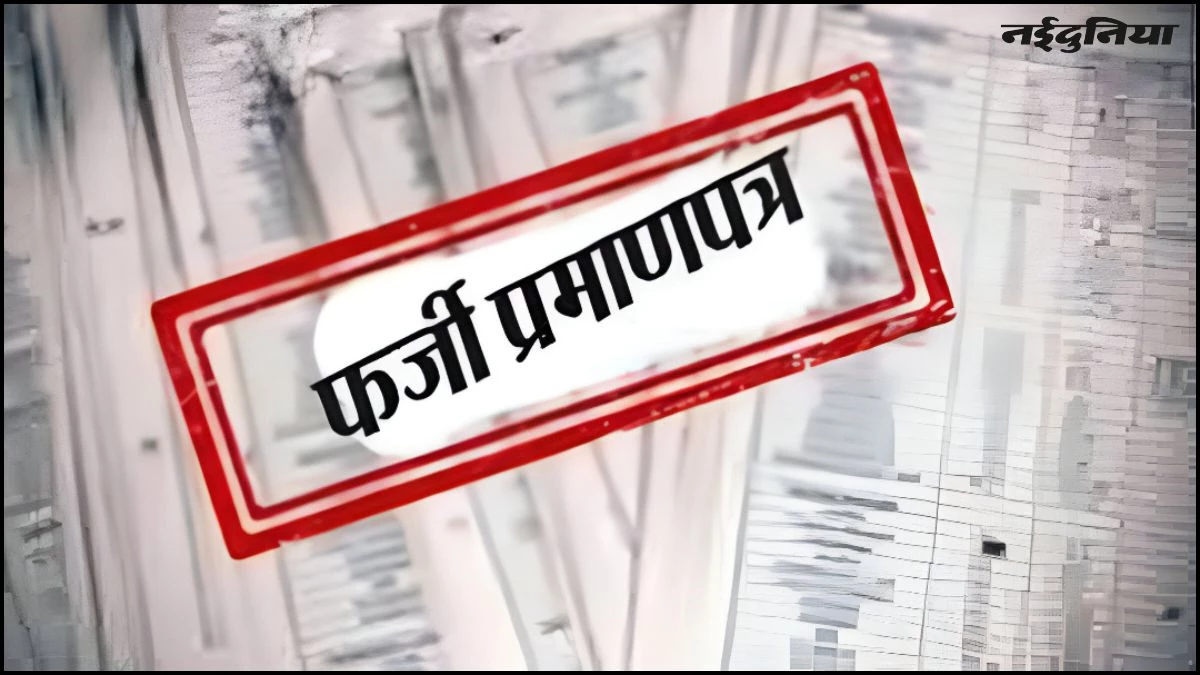मुरैना में फर्जी लोकसेवा केंद्र का भंडाफोड़, 6 महीने में तहसील से बनवा डाले 830 फेक प्रमाण पत्र