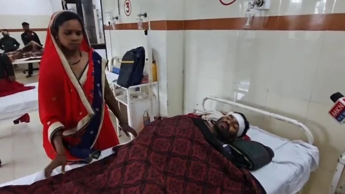 बालाघाट के कान्हा टाइगर रिजर्व में बाघ ने किया हमला, सिर पर लाठी से वार कर बचाई जान