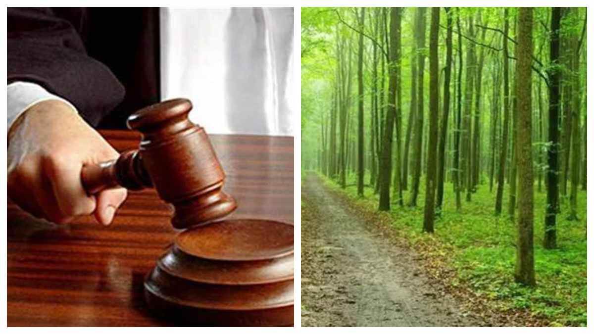 बड़े झाड़ का जंगल' निकली 18 लाख की जमीन, बिलासपुर में सरकारी जमीन को निजी बताकर बेचने वाले को झटका