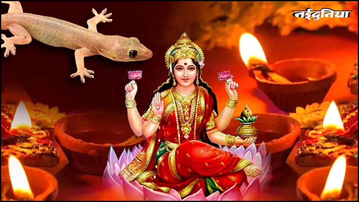 Diwali 2025: दिवाली पर छिपकली दिखना होता है शुभ, पर ढूंढने से भी नहीं मिलती इस दिन, आखिर क्यों हो जाती है गायब?
