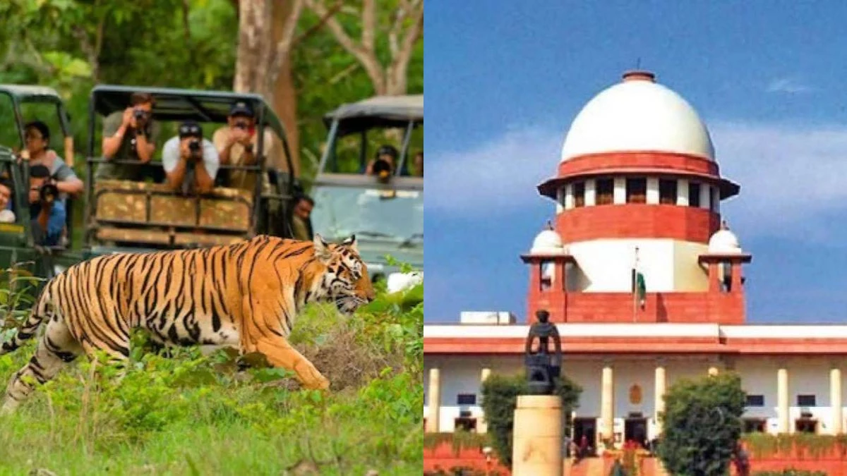 टाइगर सफारी पर सुप्रीम कोर्ट की सख्त रोक, मानव-वन्यजीव संघर्ष में मौत अब प्राकृतिक आपदा, मिलेगा 10 लाख मुआवजा