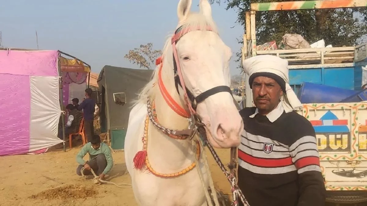 कानपुर के ऐतिहासिक मकनपुर मेले की शान बना 11 लाख का घोड़ा, रोजाना खर्च सुनकर उड़ जाएंगे होश