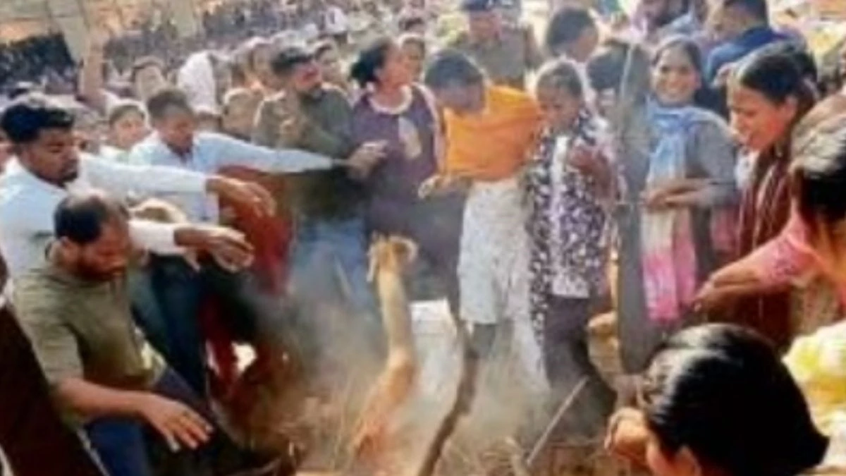 Raipur News: सहायक शिक्षक भर्ती 2023 मामले में डीएड अभ्यर्थियों ने अंगारों पर चलकर किया प्रदर्शन