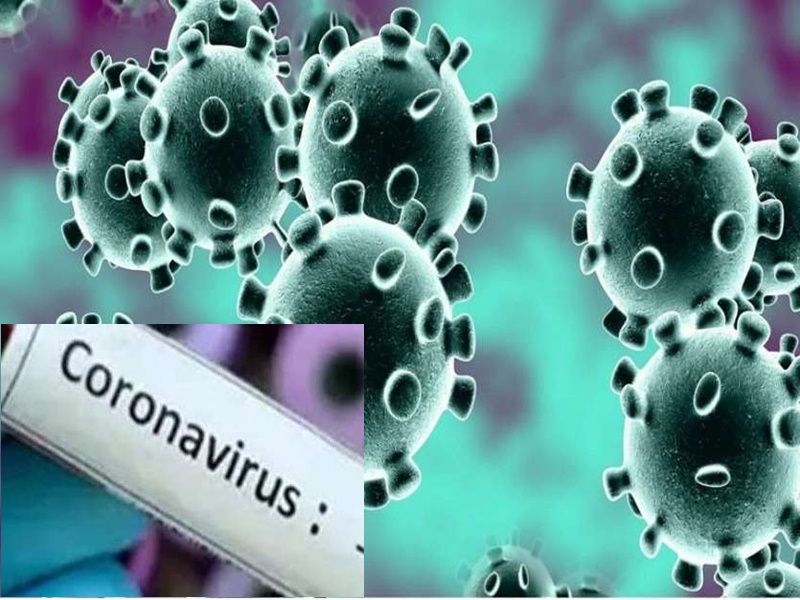 CoronaVirus Study: Study on Corona Virus in India course is being prepared