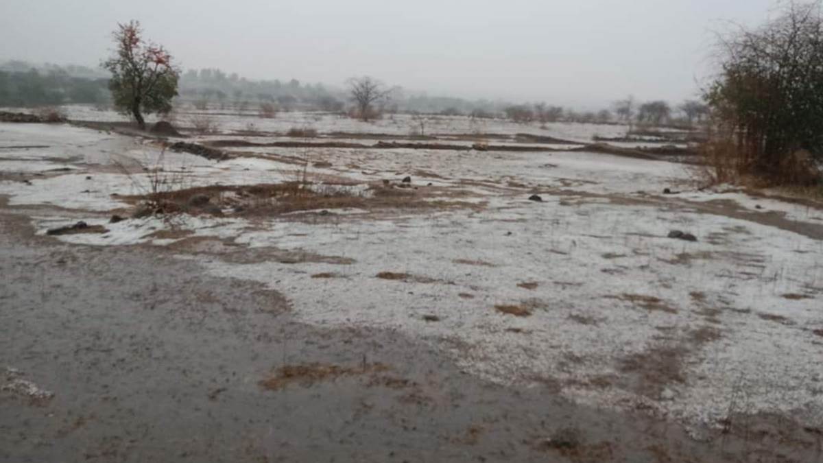MP Weather Update:  मध्‍य प्रदेश के अधिकांश शहरों में छाए बादल, बारिश का दौर भी, मंगलवार से मिल सकती है राहत