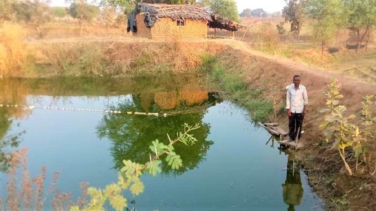 Bilaspur News: केंद्र सरकार की योजना का असर मनरेगा से समृद्ध हो रहे जिले के किसान