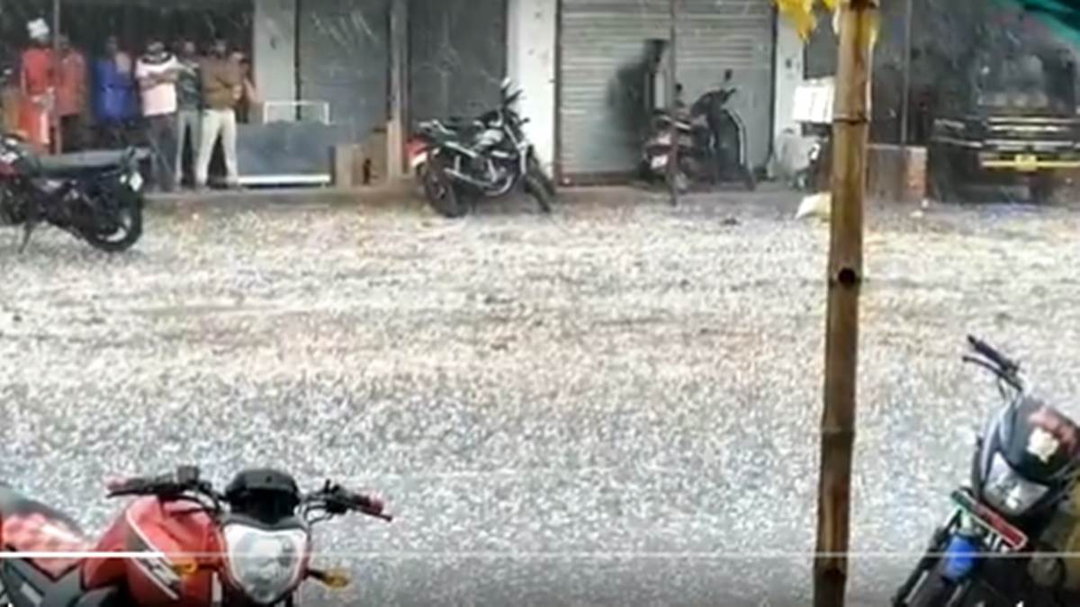 Rain in Dindori: वीडियो देखिये, बारिश और ओलावृष्टि से जनजीवन प्रभावित, बिछी ओलों की चादर, फसल को नुकसान