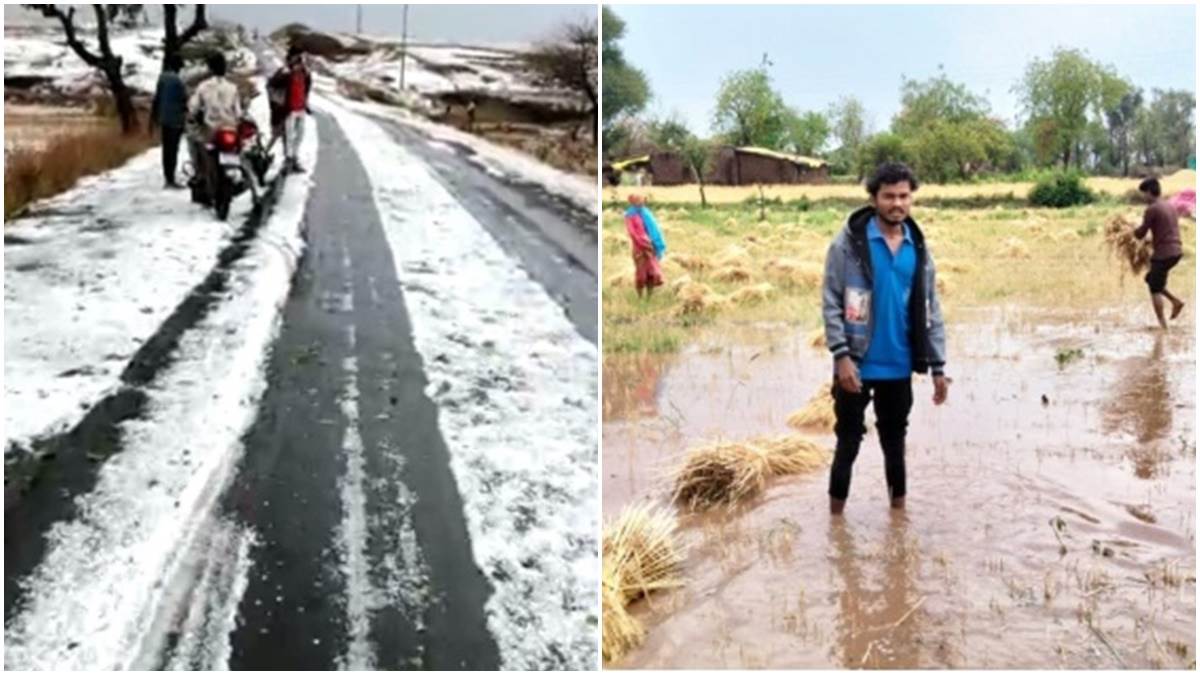 Rain in Malwa Nimar: मालवा-निमाड़ में आफत की आंधी, वर्षा और ओलावृष्टि,  फसलों के साथ भीगी किसानों की आंखें