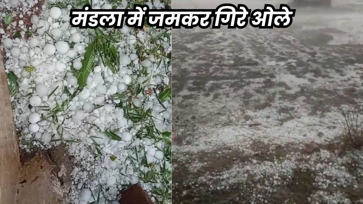 Hailstorm in Mandla: मध्य प्रदेश के मंडला में बारिश के साथ फिर हुई ओलावृष्टि