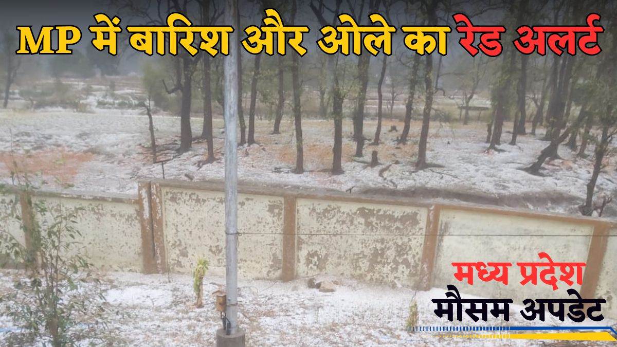 मप्र का मौसम: शहाडोल-जबलपुर समेत 15 जिलों में तूफान के साथ बारिश का खतरा, मप्र के इन इलाकों में गिर सकते हैं ओले