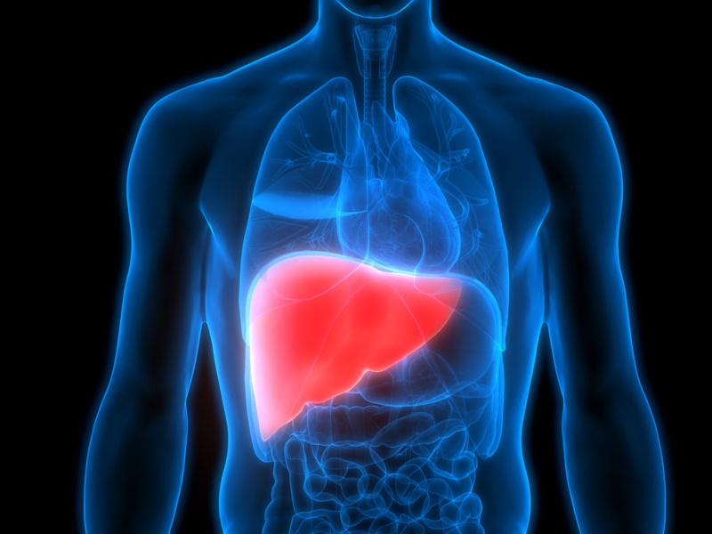 World Liver Day 2022: आपका लिवर खराब है या स्‍वस्‍थ, इन लक्षणों से पहचान करें